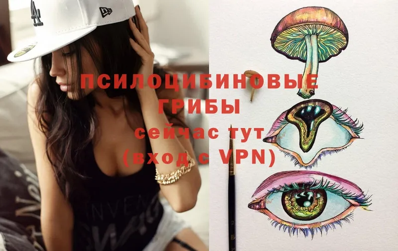 Псилоцибиновые грибы MAGIC MUSHROOMS  omg tor  Курчатов 